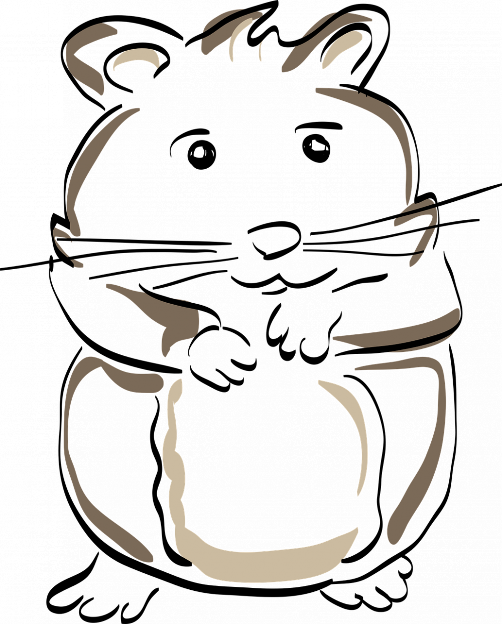 En djupgående titt på olika hamsterraser: En omfattande guide för förståelse och val av hamster